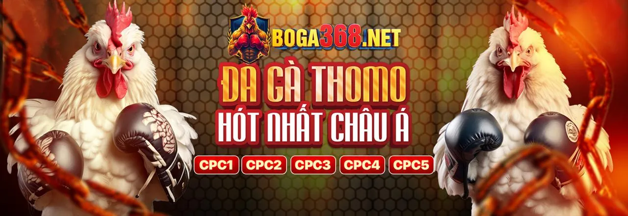 Đấu trường gà trực tuyến cm8812