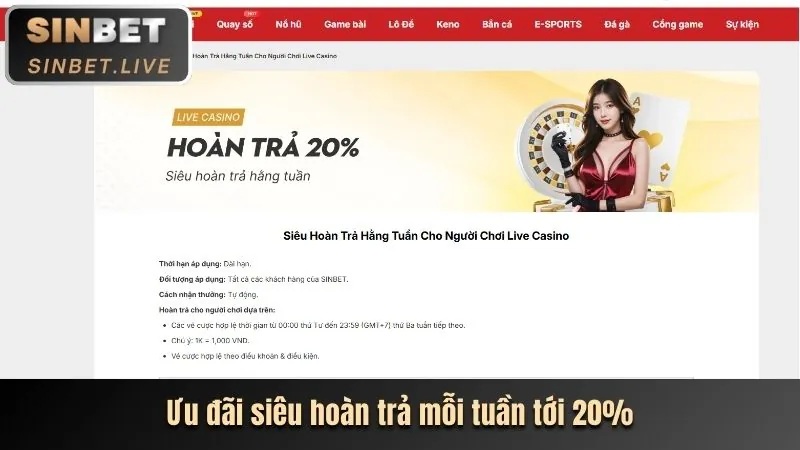 Tổng quan sòng bạc trực tiếp cm8812 với giao diện người dùng thân thiện